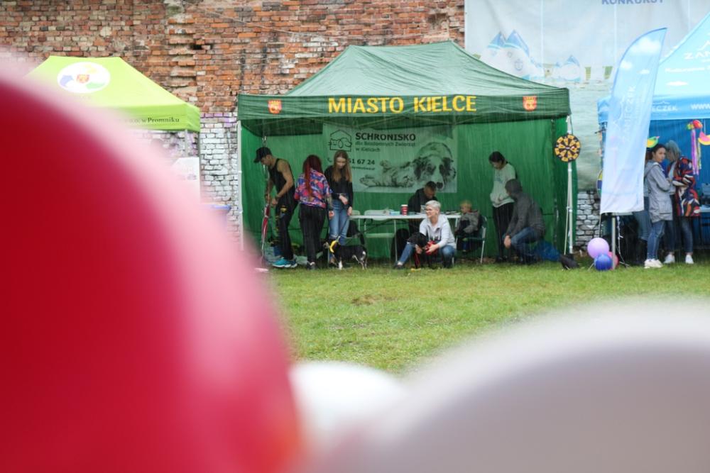 Zdjęcie galerii artykułu: - Festiwal Wiatru stoisko MUP 11