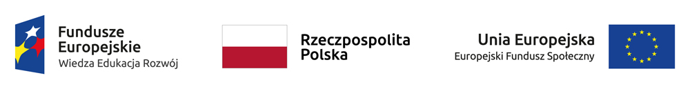 Zestawienie logotypów - FEWER RP UEEFS.jpg